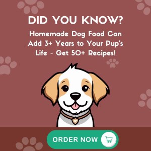 Homemade dog food for longer, healthier pet lives; Waggy Chef offers easy recipes to extend your dog's lifespan and improve well-being. Perfect for pet owners seeking nutritious, homemade dog meals.