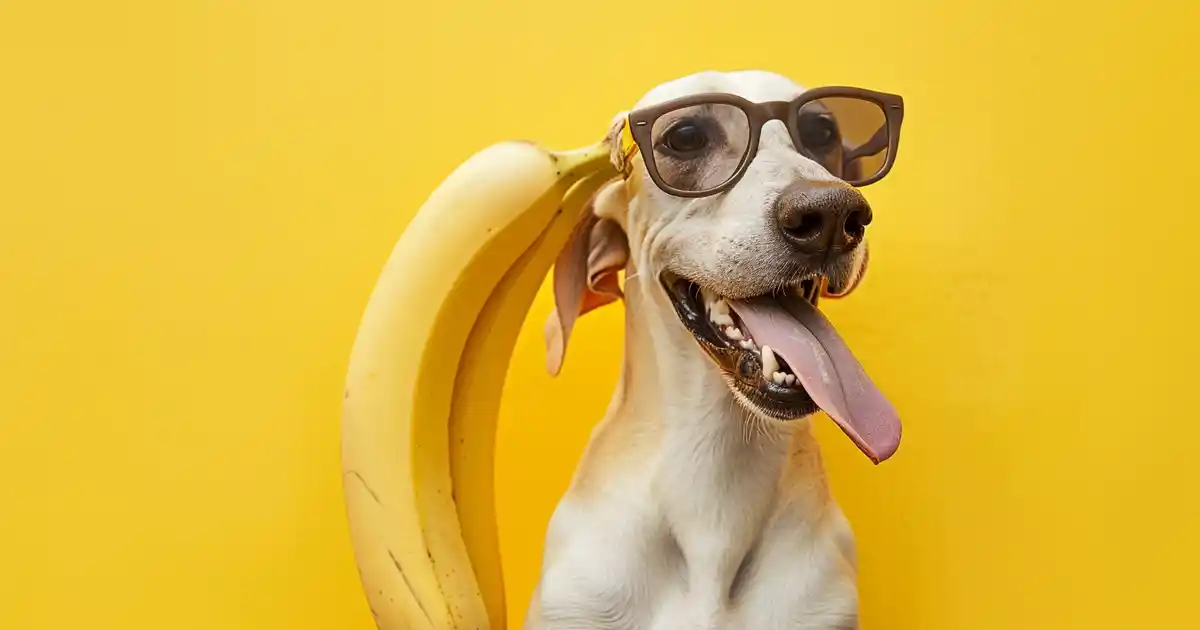 The Essential Guide to Bananas for Dogs (Amazing Benefits You Never Knew About!)