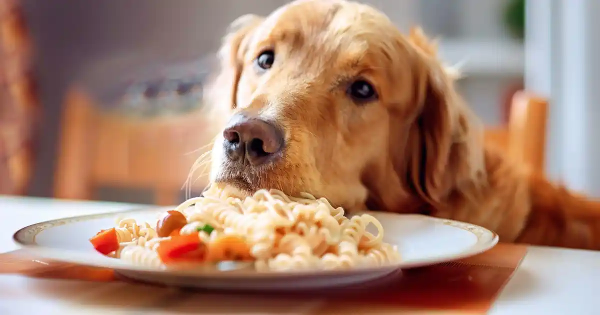 The Ultimate Can Dogs Eat Pasta Guide (Without the Scary Vet Bills!)