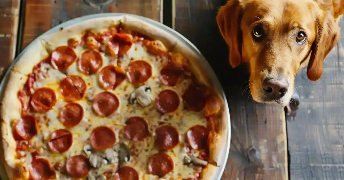 The Ultimate Can Dogs Eat Pepperoni Guide: Expert Answers Revealed (What Every Dog Owner Must Know!)