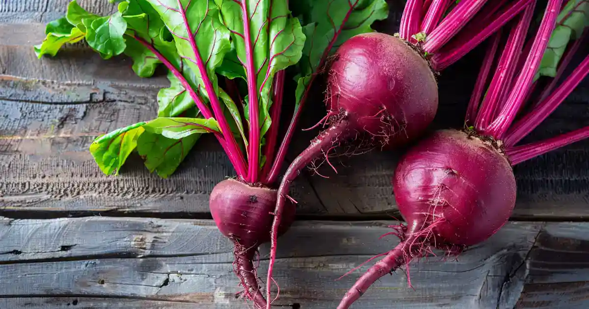 The Ultimate Guide: Can Dogs Eat Beets? (Everything Your Pup Needs You to Know!)