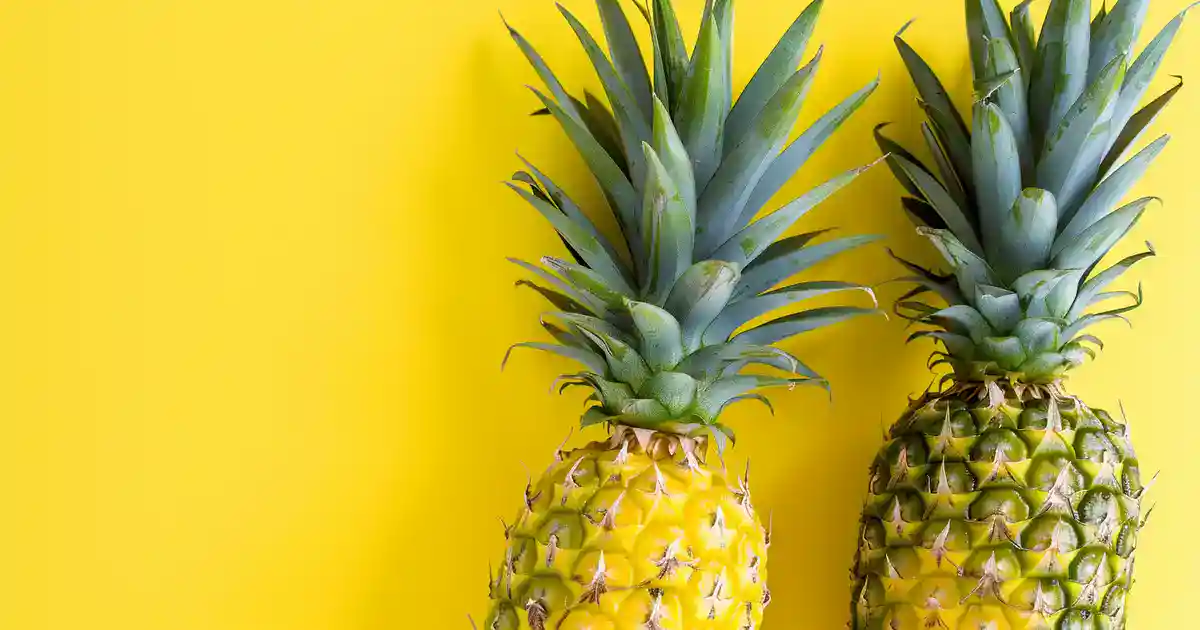 Unveiling the Truth: Is Pineapple Good for Dogs? (Your Sweet and Surprising Guide!)