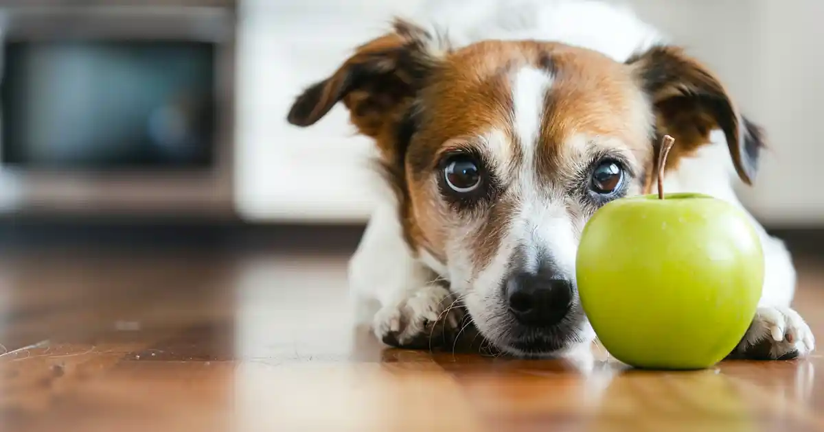 The Complete Guide to Dogs and Green Apples (Your Pup’s New Favorite Crunchy Snack!)