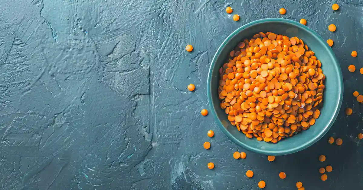 The Complete Guide to Dogs and Lentils (Without the Confusion or Second-Guessing!)
