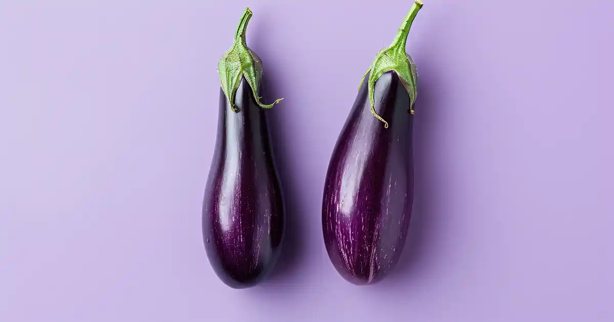 The Ultimate Guide to Dogs and Eggplant (Without the Worry or Confusion!)