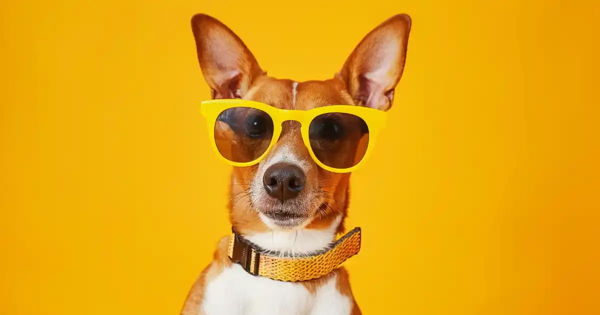 Unleashing the Truth: Is Tuna Good for Dogs? (What Vets Actually Want You to Know)