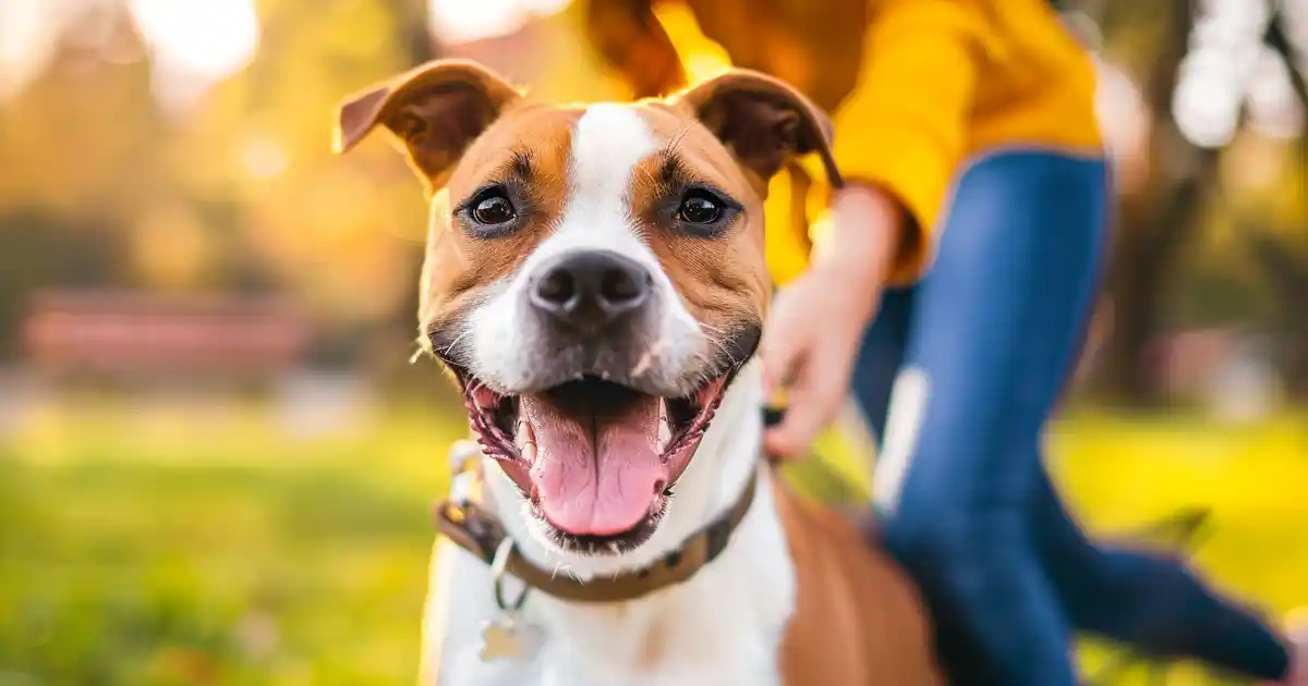 Expert Tips for Ultimate Dog Bite Prevention (And How to Keep Your Family Safe!)