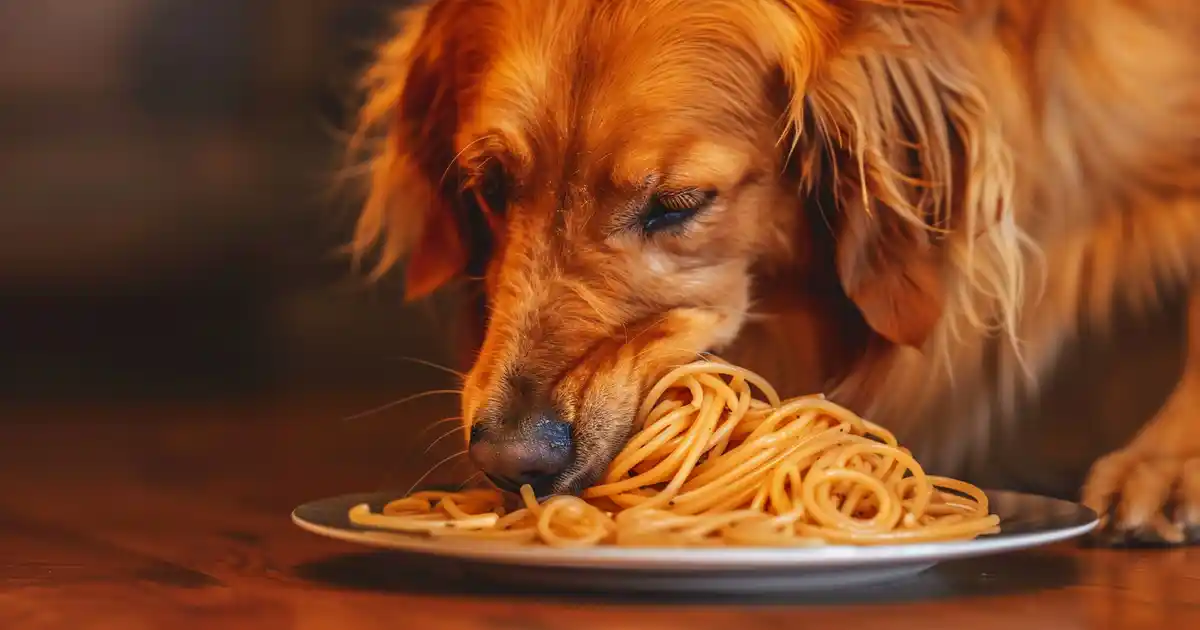 The Complete Guide to Dogs and Spaghetti (What Every Pet Parent Should Know!)