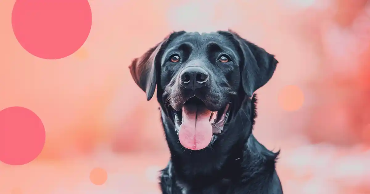 The Ultimate Guide to Unlocking the Importance of Dog Socialization (Without Overwhelming Your Pup or Creating Problems!)