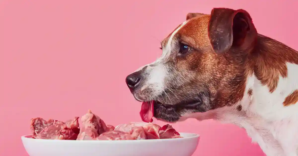 The Ultimate Guide: Can Dogs Safely Eat Raw Beef?