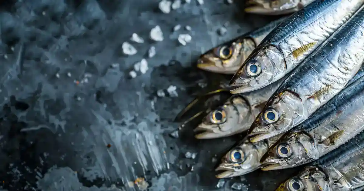 The Ultimate Guide to Are Sardines Good for Dogs