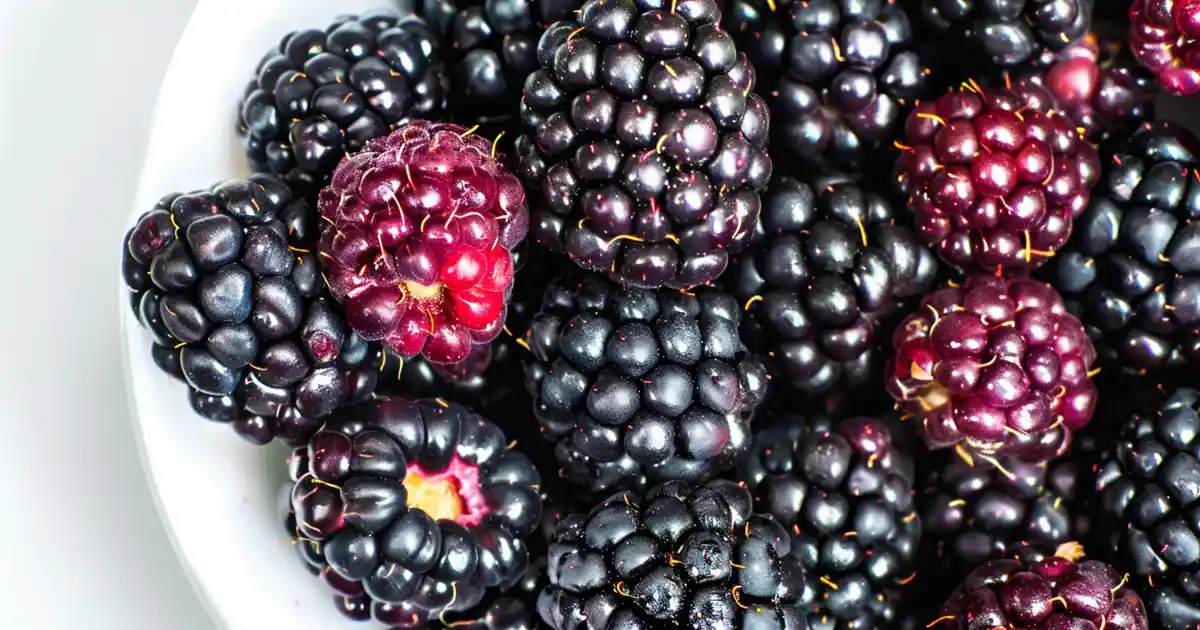 The Ultimate Guide to Blackberries for Dogs (Without the Worry or Confusion!)