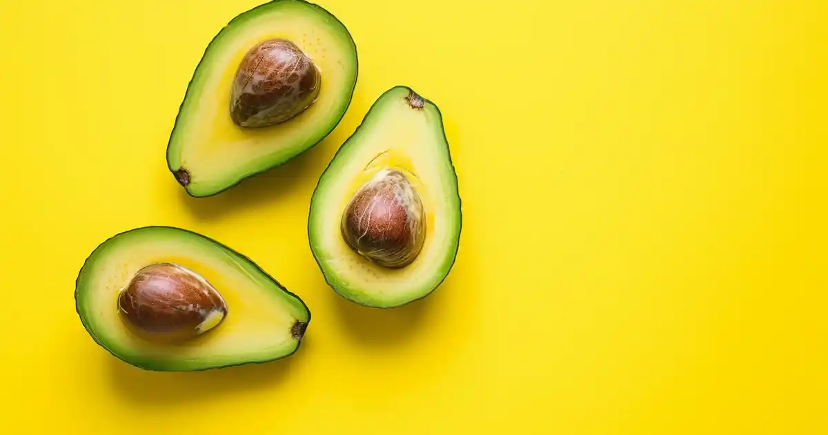 Unveiling the Truth: Avocado and Dogs — Is It Safe or Toxic?